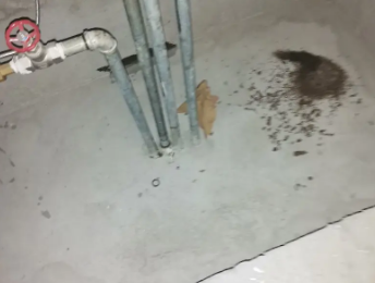 法库卫生间测漏水价格明细